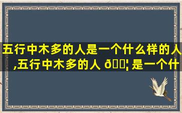 五行中木多的人是一个什么样的人,五行中木多的人 🐦 是一个什么样的人呢